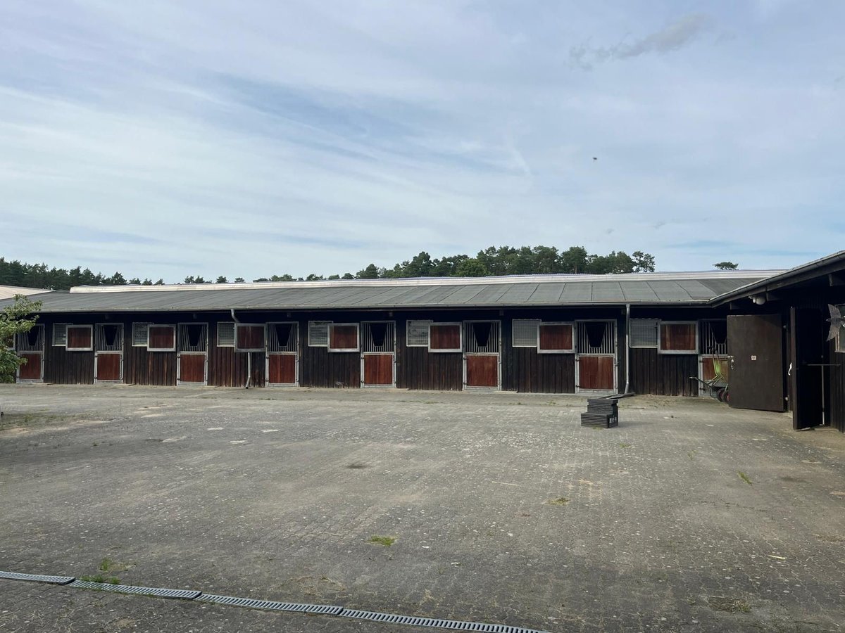 BOXEN ZU VERPACHTEN, min. 4 Boxen max. eine ganze Stallgasse bis zu 18 Boxen
