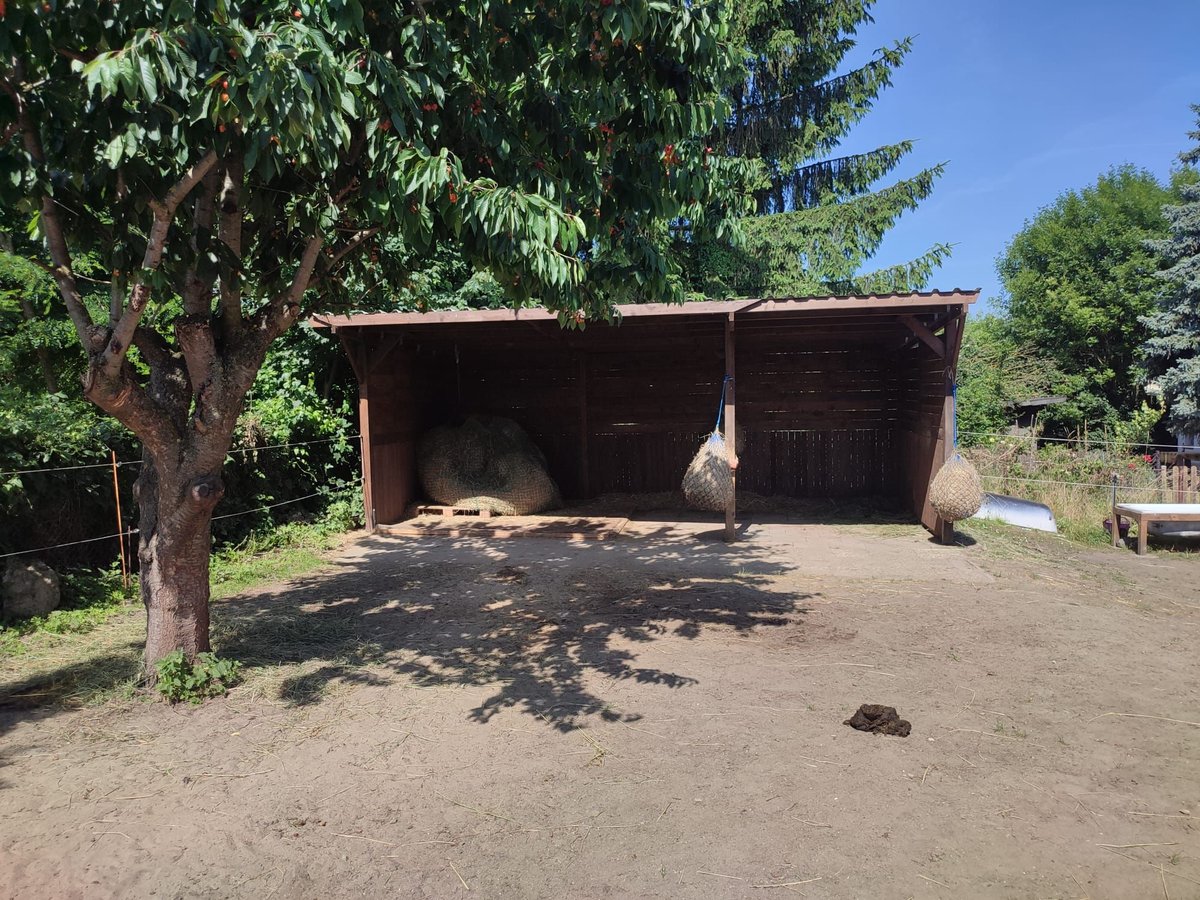 2 Offenstallplätze frei
