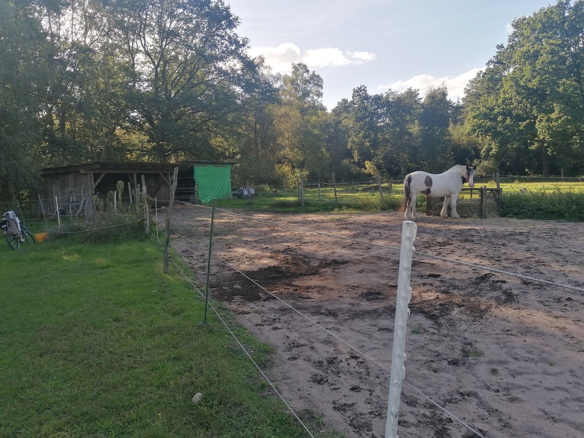 Freie Offenstallplätze in Osloß