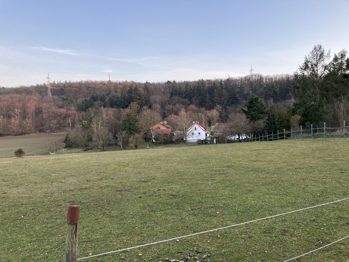 Offenstall mit großer Weide