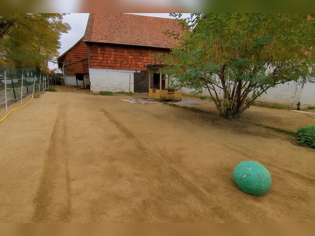 Offenstall mit Vollpension in Hildesheim-Itzum
