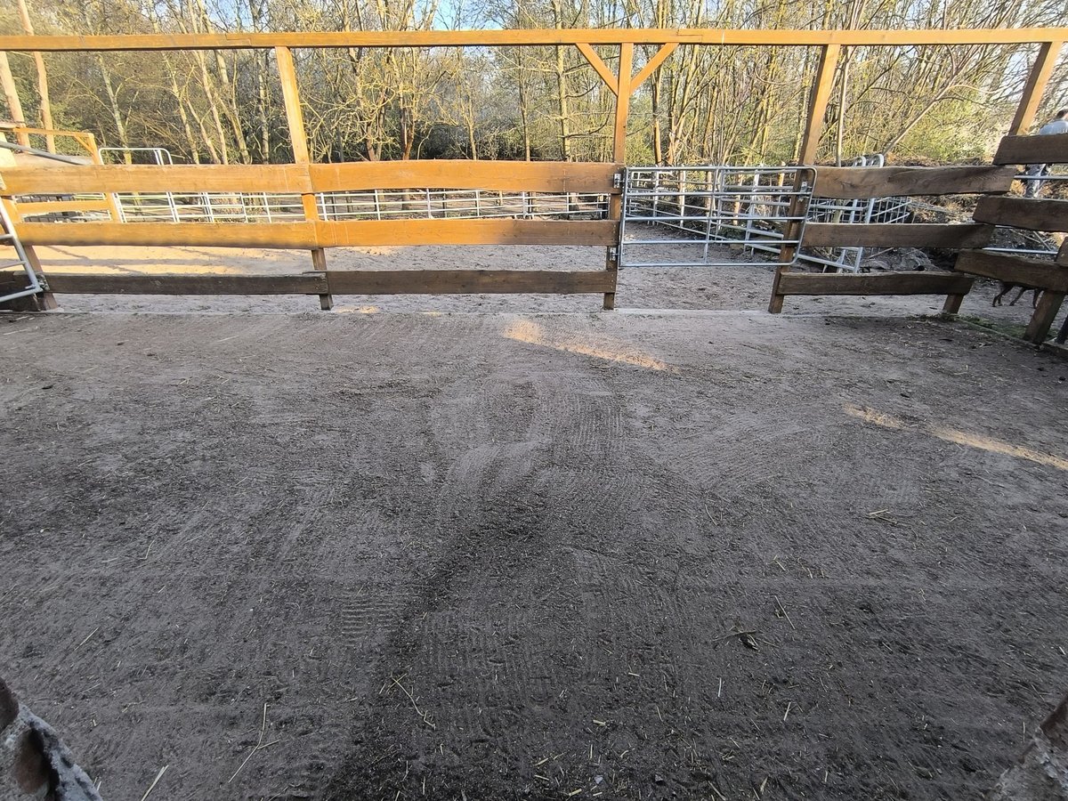 Offenstallplatz für Kleinpferd/Pony Wallach oder Stute