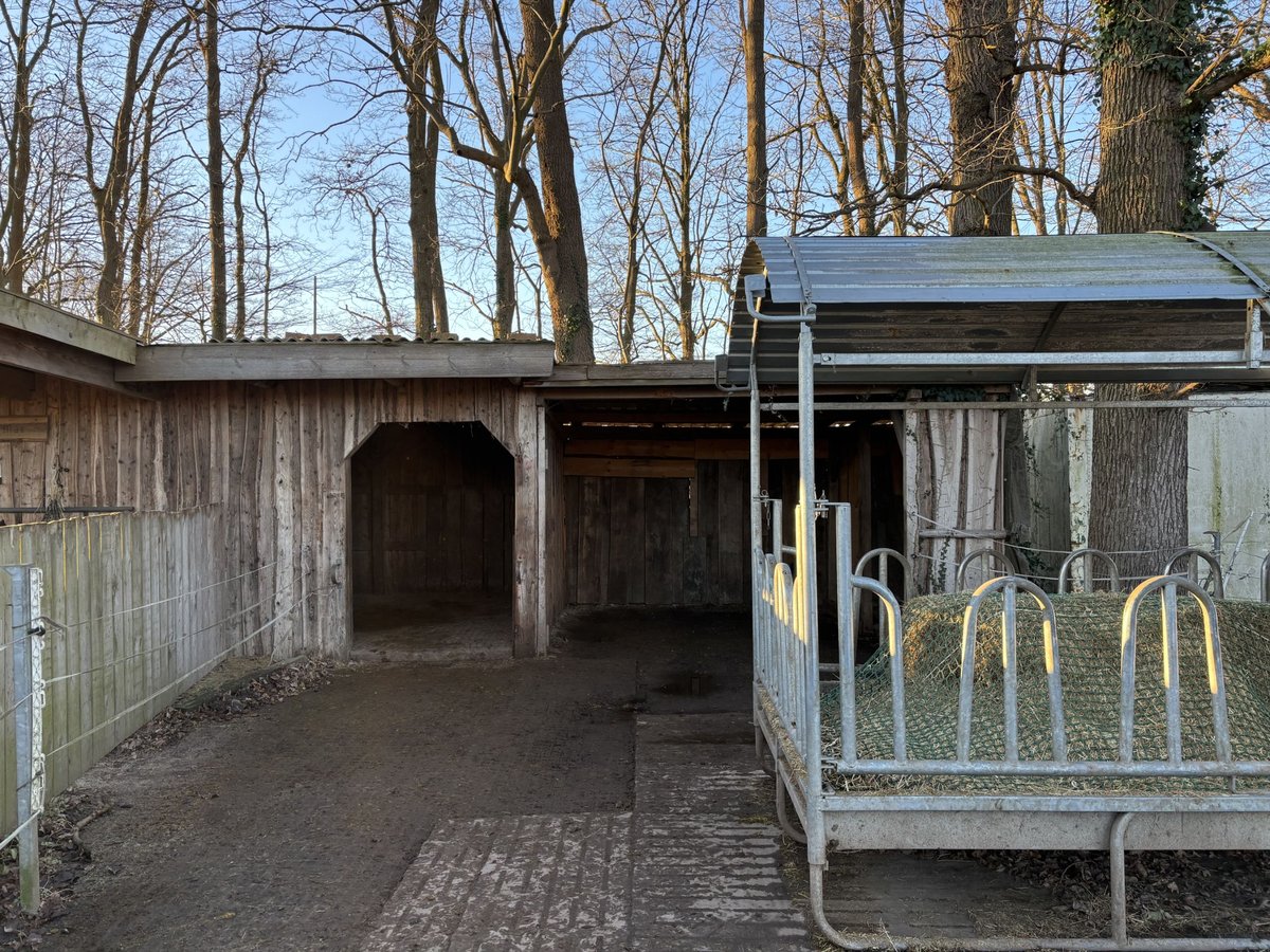 Offenstallplatz in Stutenherde/ Idensen 