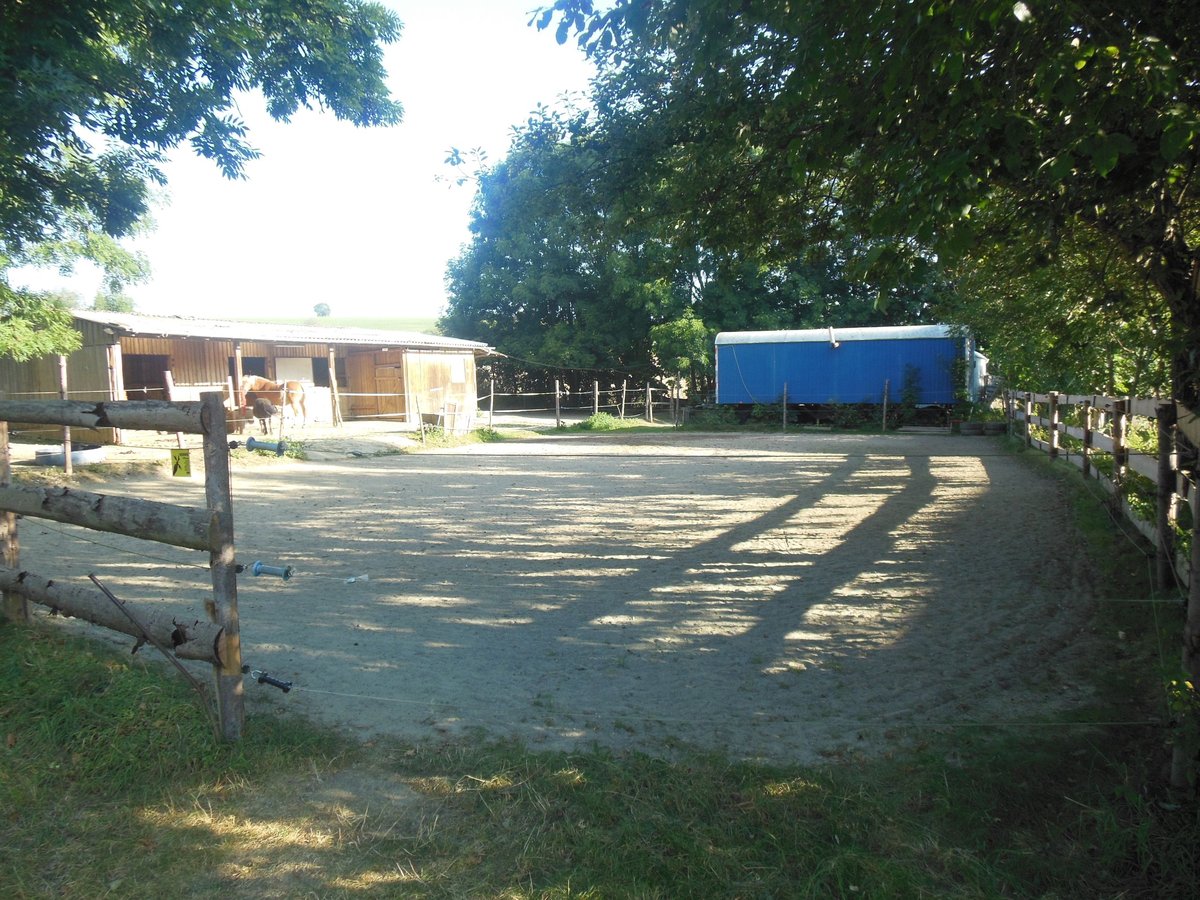 Stallplatz,Offenstall