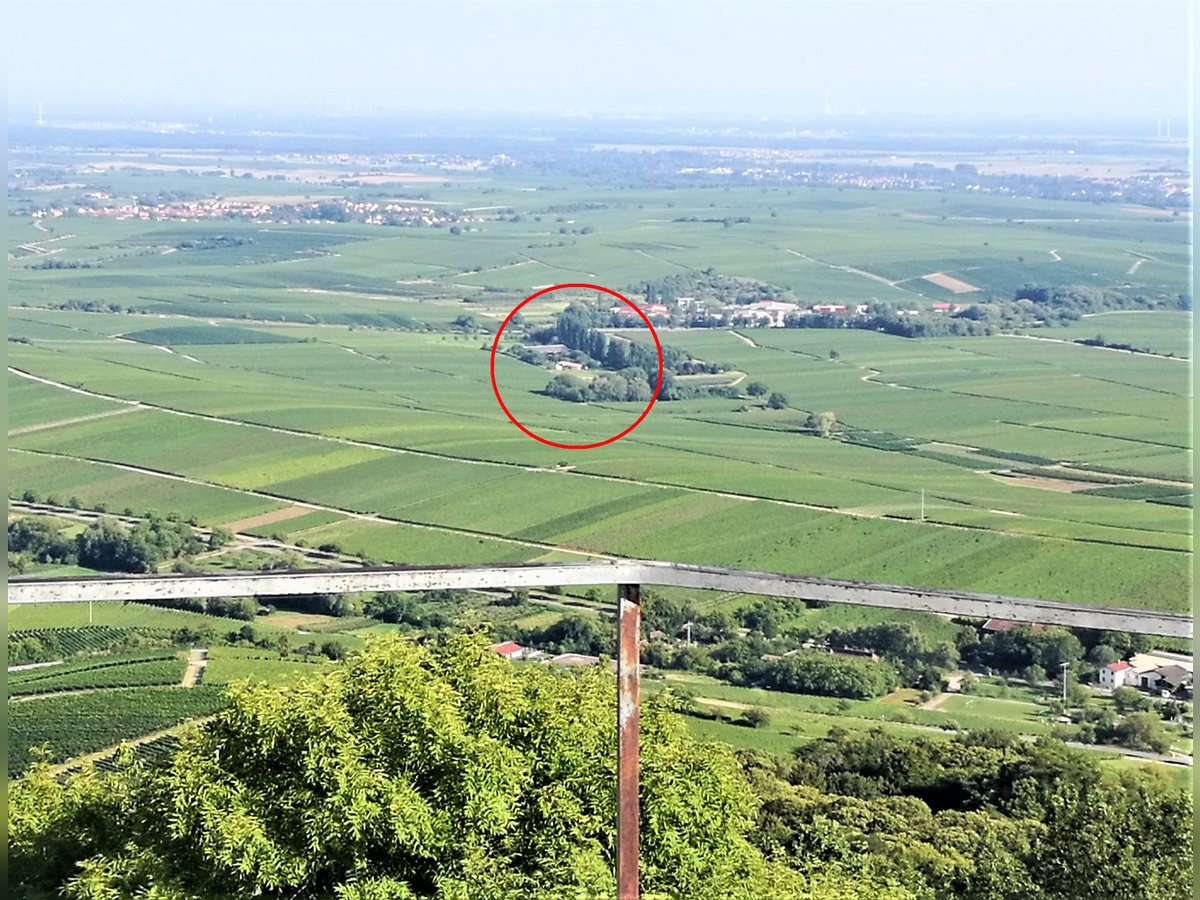 Frische Luft, ruhige Lage, offene Reithalle und Top-Ausreitgelände. Nette Stallgemeinschaft!