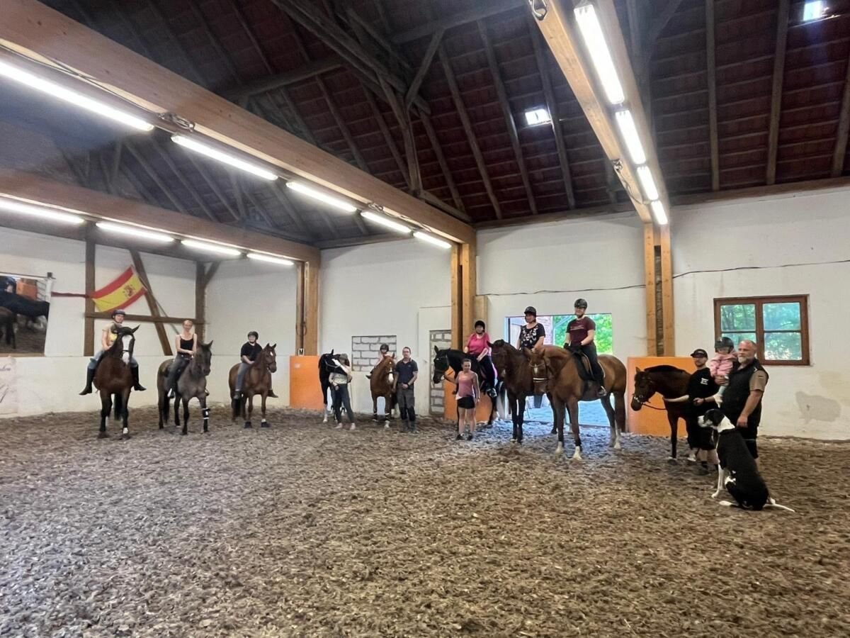 harmonischer Freizeitstall hat Plätze frei