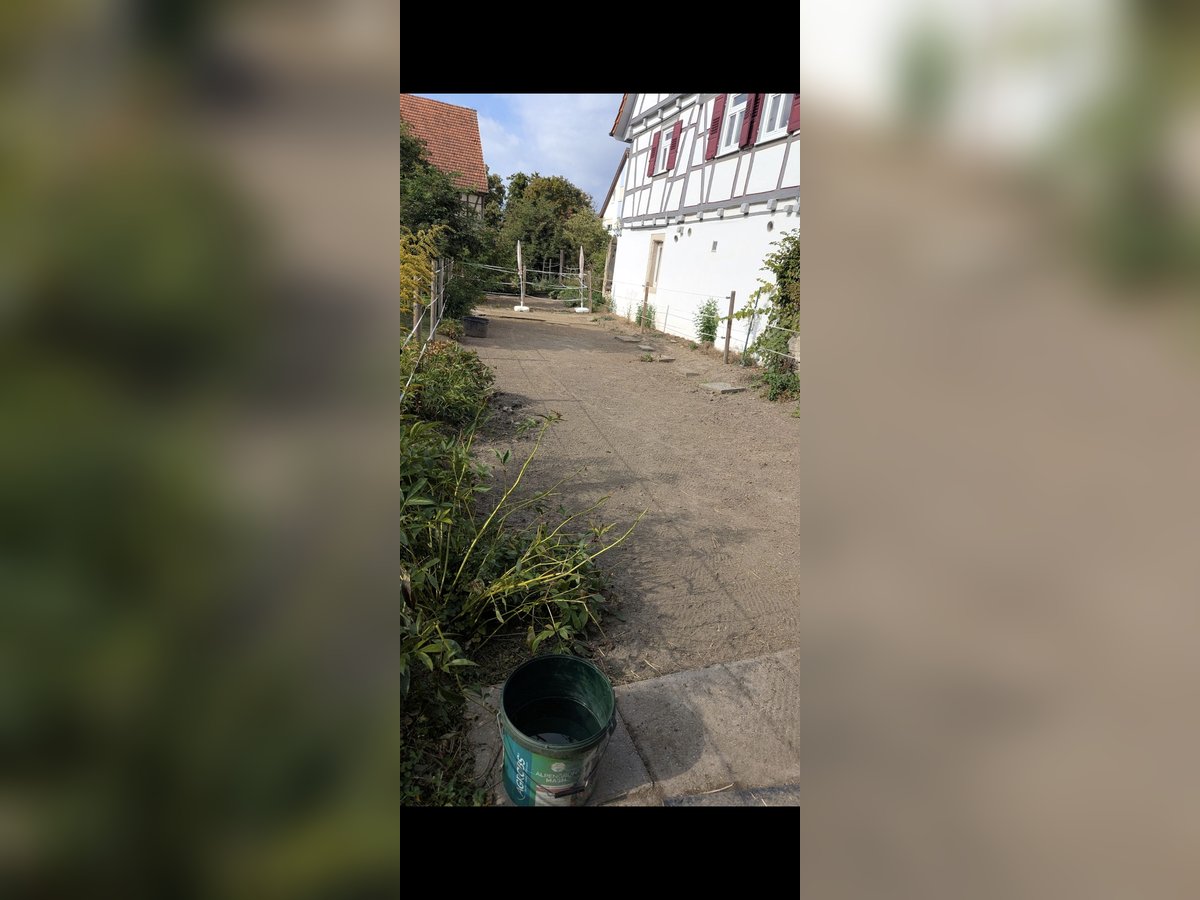 Platz für Shetty frei 