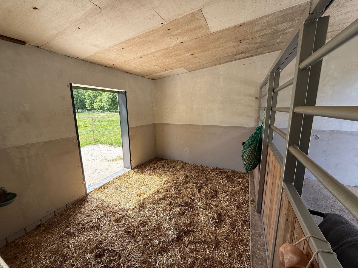 Schöner Platz für Pony in Vollpension frei