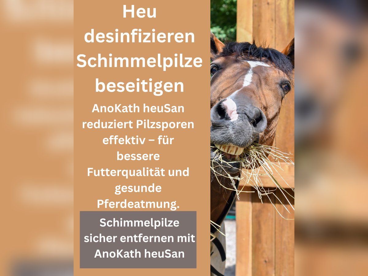 Heu Desinfizieren AnoKath® heuSan Konzenrat