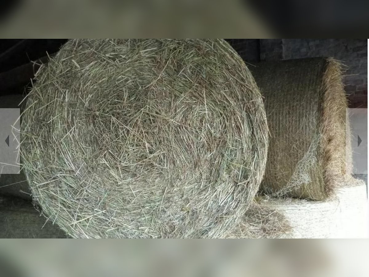 Heu Pferdeheu Pferdefutter Rundballen Heuballen Wiesenheu