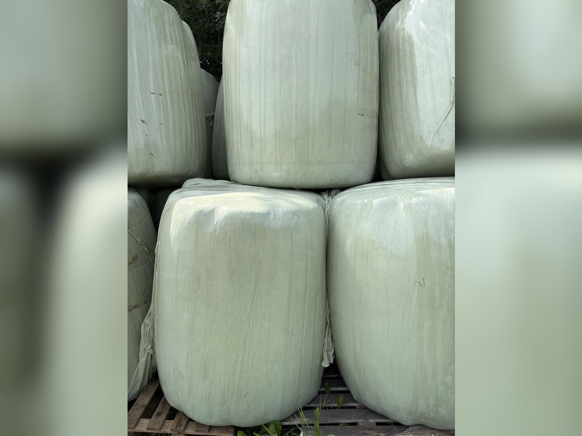 Heulage-Rundballen Ø 105 cm – Ernte 2025 Heulage-Rundballen Ø 105 cm – Ernte 2025