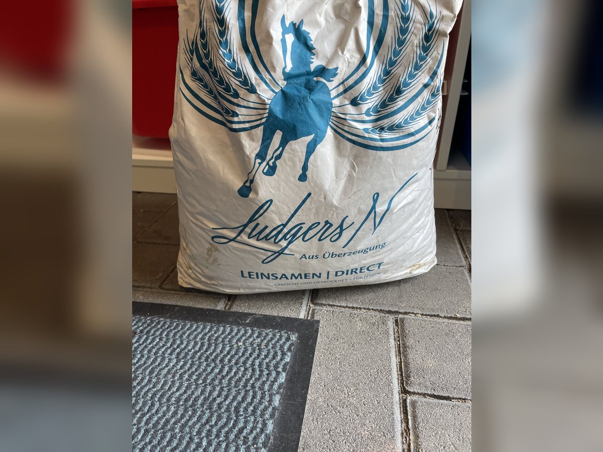 Ludgers Leinsamen Direkt