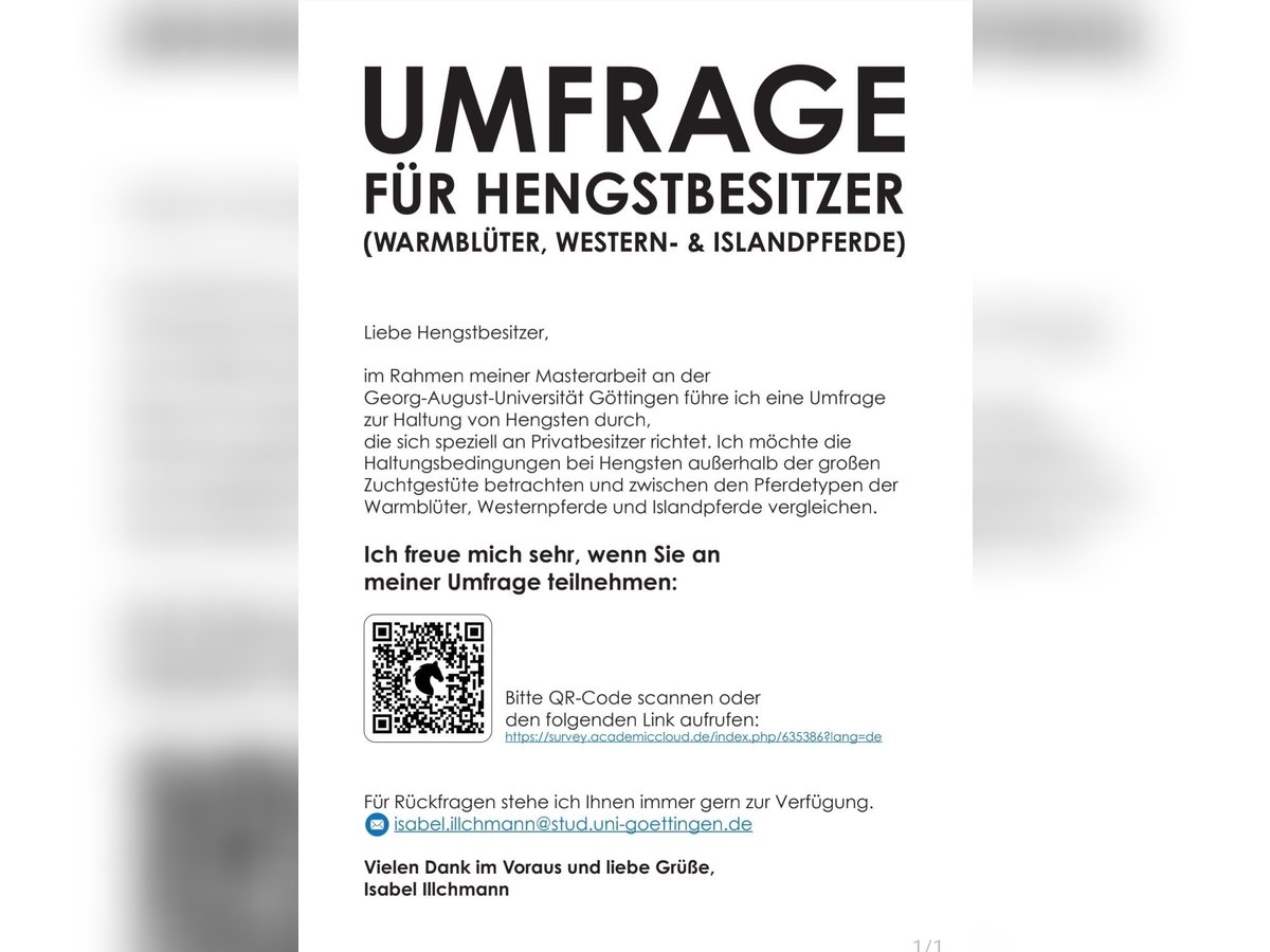 Umfrage Hengsthaltung Umfrage Hengsthaltung