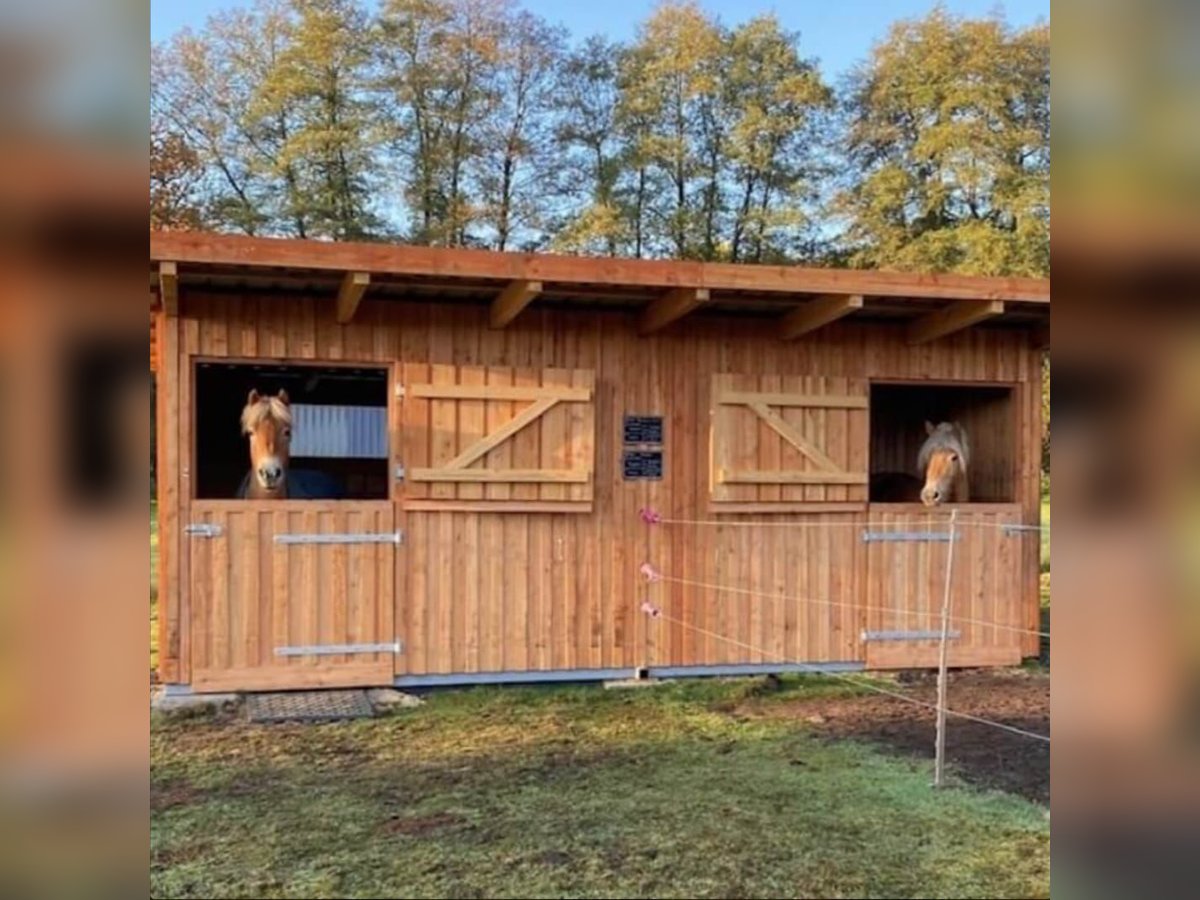 Weidehütte 3,60 x 6,40 Lärche Weidehütte 3,60 x 6,40 Lärche