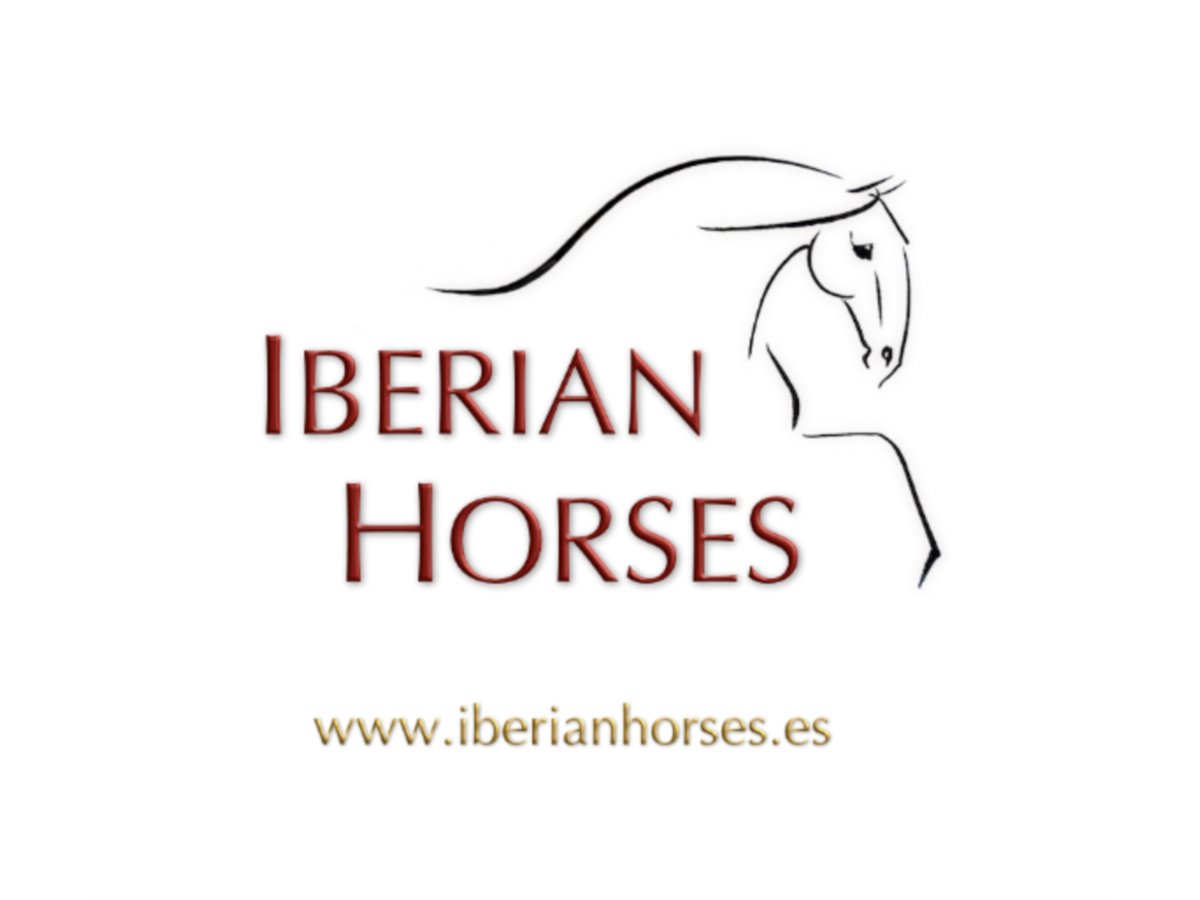  WWW.IBERIAN HORSES.ES 