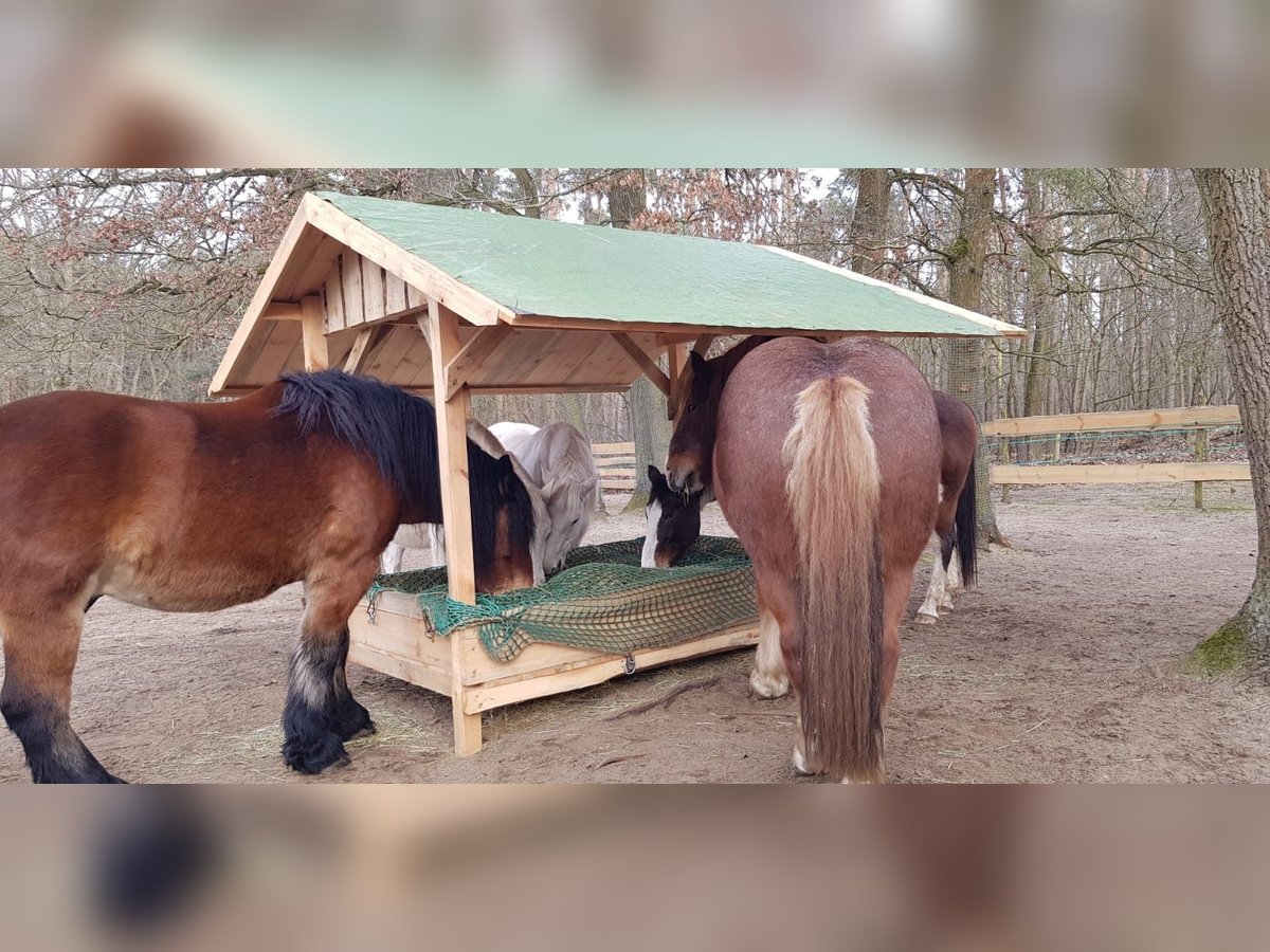 Handgefertigte Heuraufe aus Holz