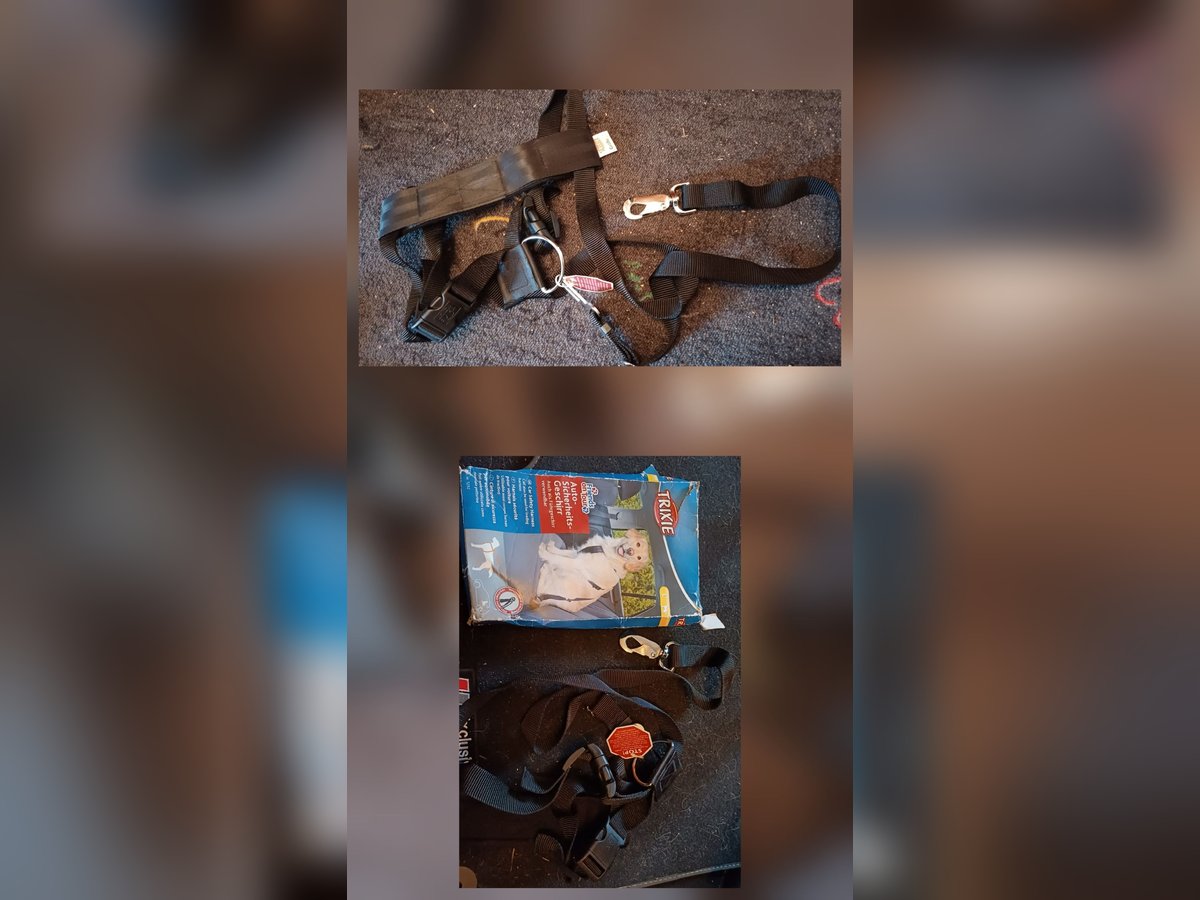 Hundegeschirr    Autohundegeschirr  mit Gurt Set NEU Gr L