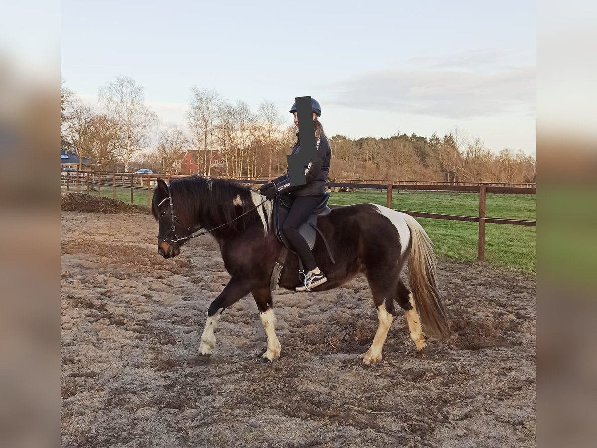 Lewitzer Merrie 10 Jaar 138 cm Tobiano-alle-kleuren in LilienthalLilienthal