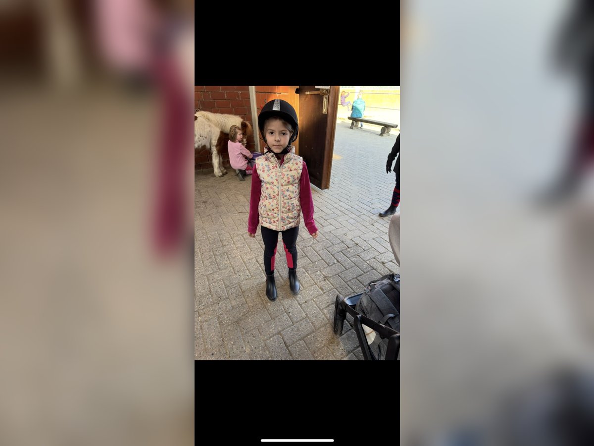Mutter/Tochtergespann sucht eine Reitbeteiligung 
