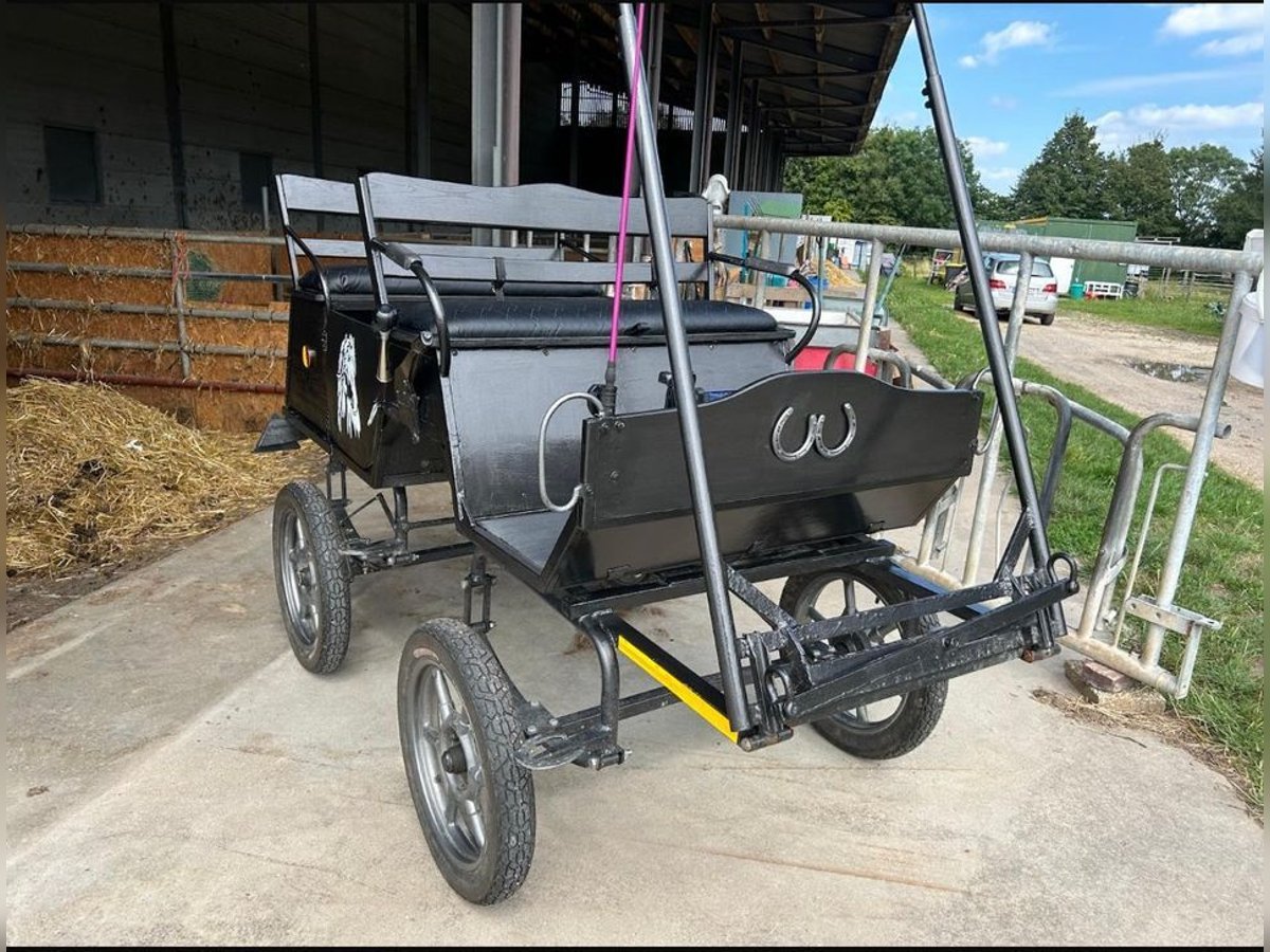 Kutsche Jagdwagen Wagonette Kutsche Jagdwagen Wagonette