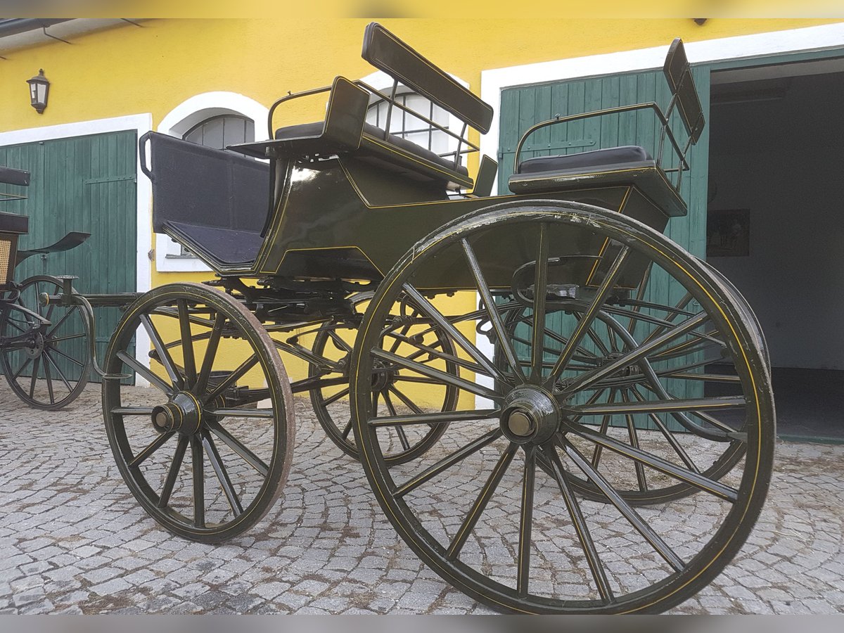 Historischer ungarischer Jagdwagen