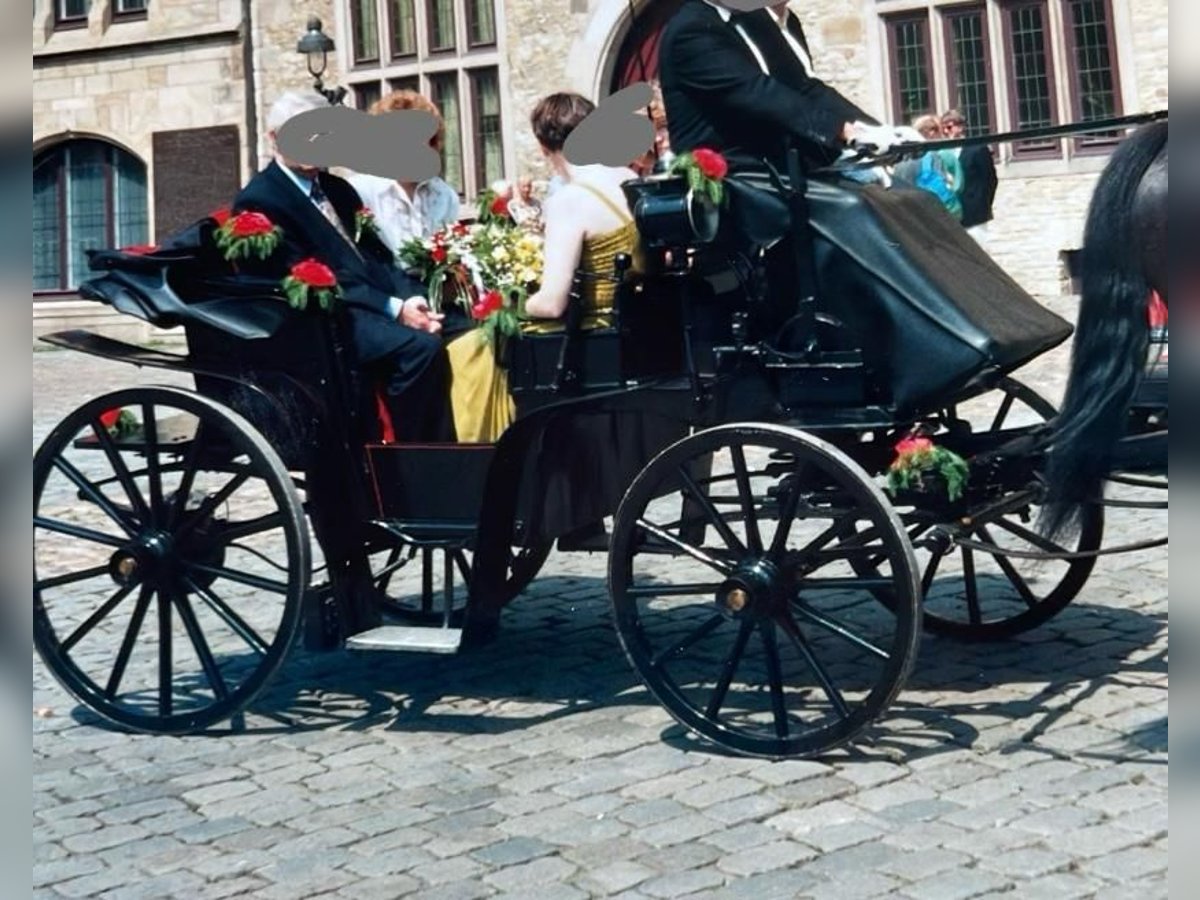 Hochzeitskutsche top jägerwagen