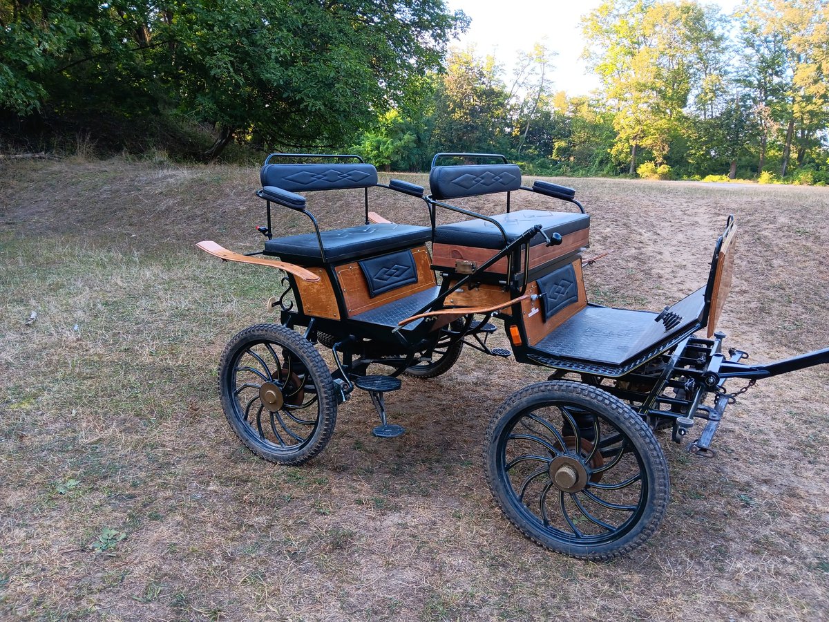 Jagdwagen Kutsche mit Geschirr 