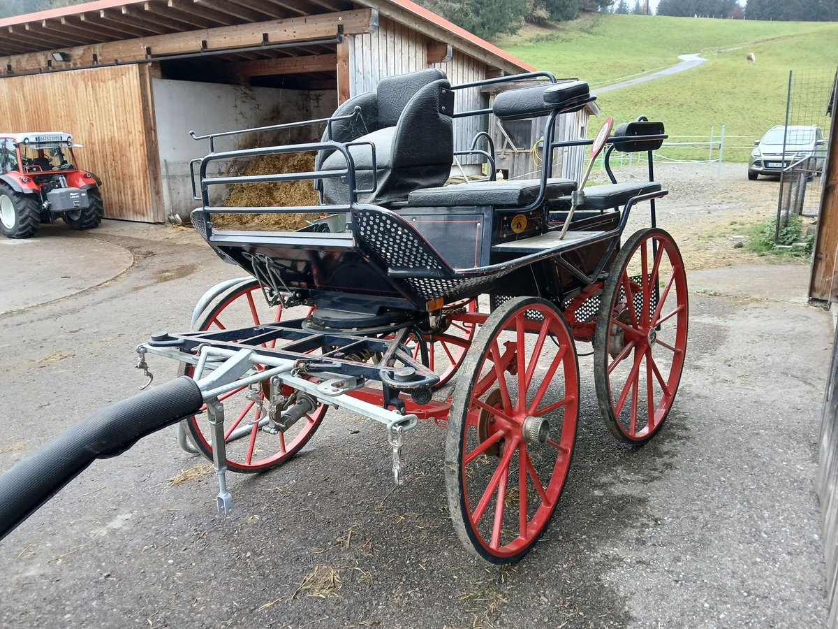 Marathonkutsche