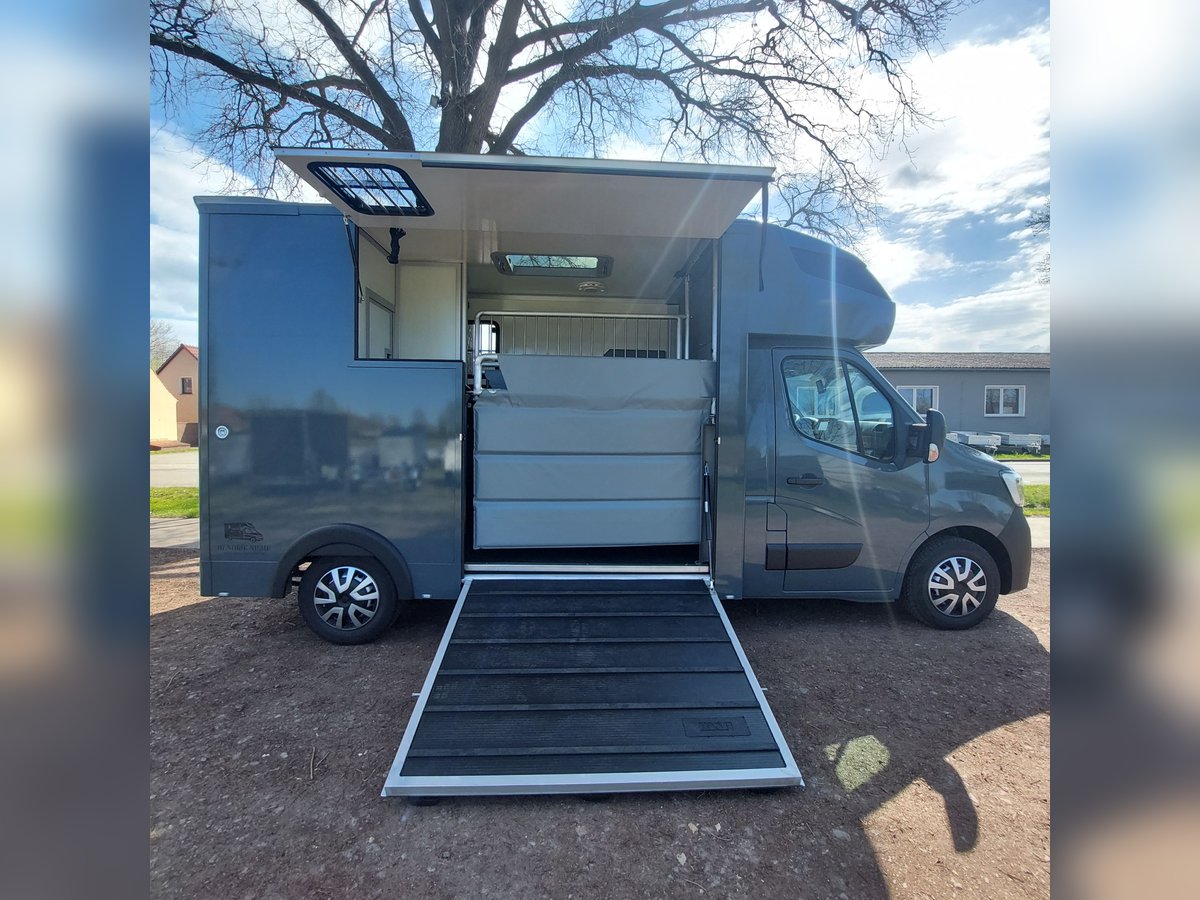 MSG Pferdetransporter Renault Master Stablehopper NEU