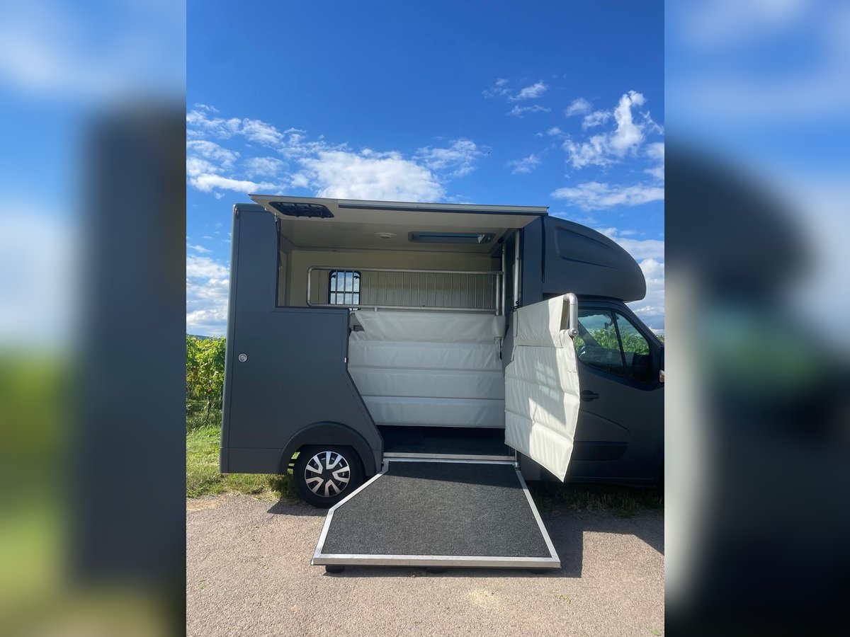 MSG Stablehopper Superlight 8700km Automatik 2 Großpferde