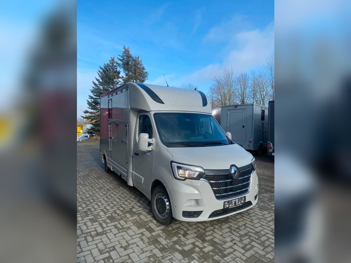Renault transport de chevaux 3,5t, 1-2 Pf., 180 PS, Auf. NOUVEAU
