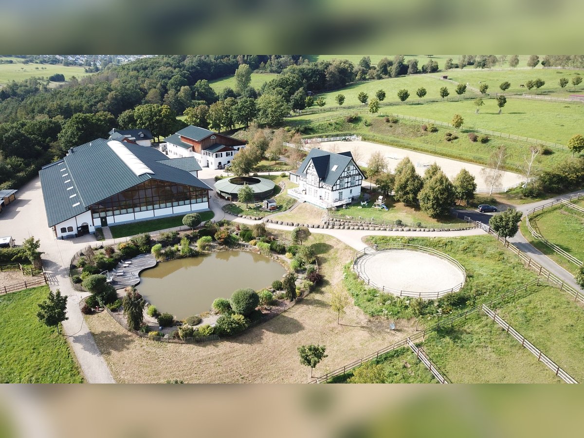 Exklusives Anwesen, Reitanlage mit kleiner Pension im Lahn-Dill-Kreis