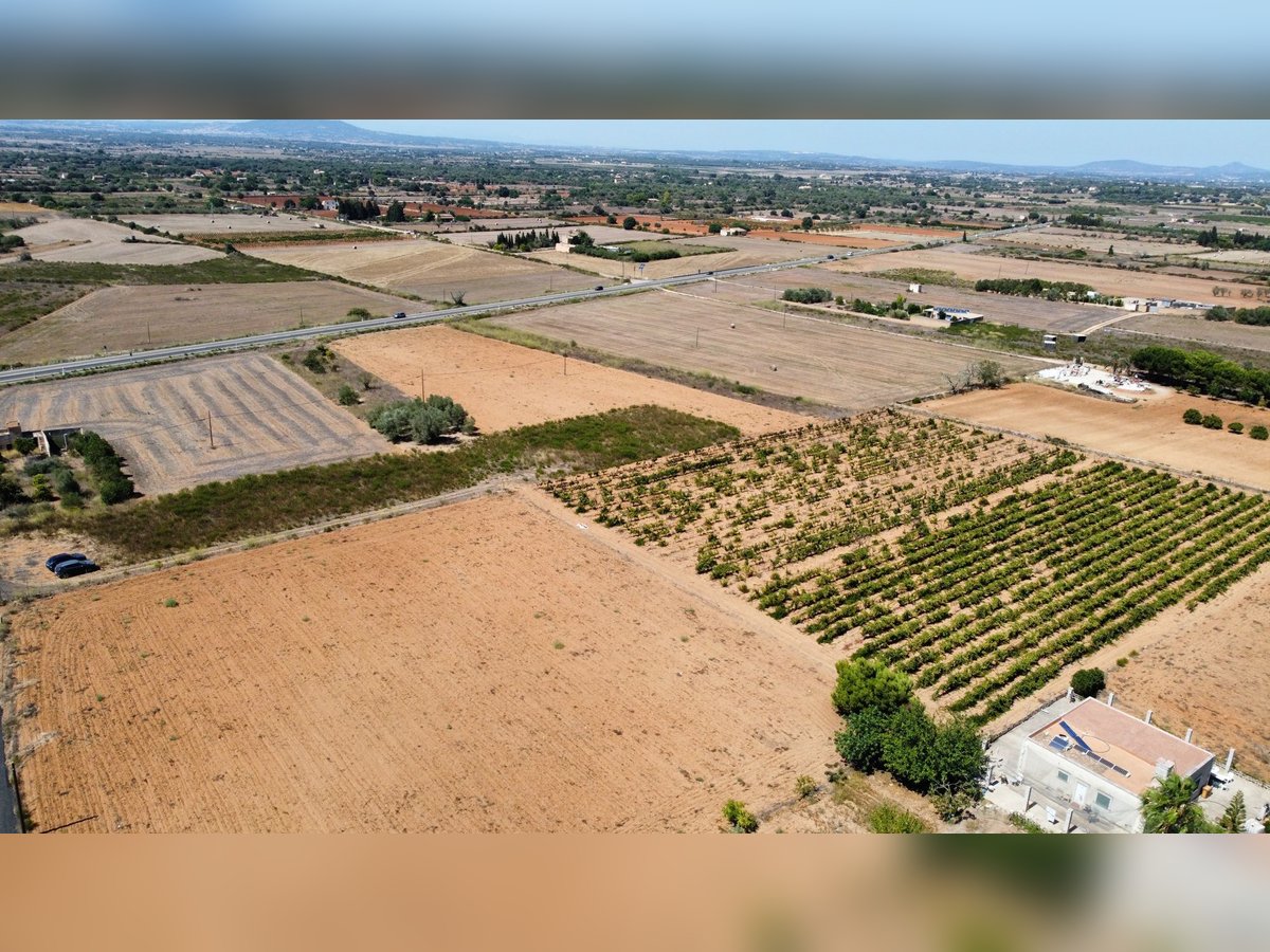 MALLORCA Felanitx: Baugrundstück mit Baulizenz und Blick auf den Sant Salvador