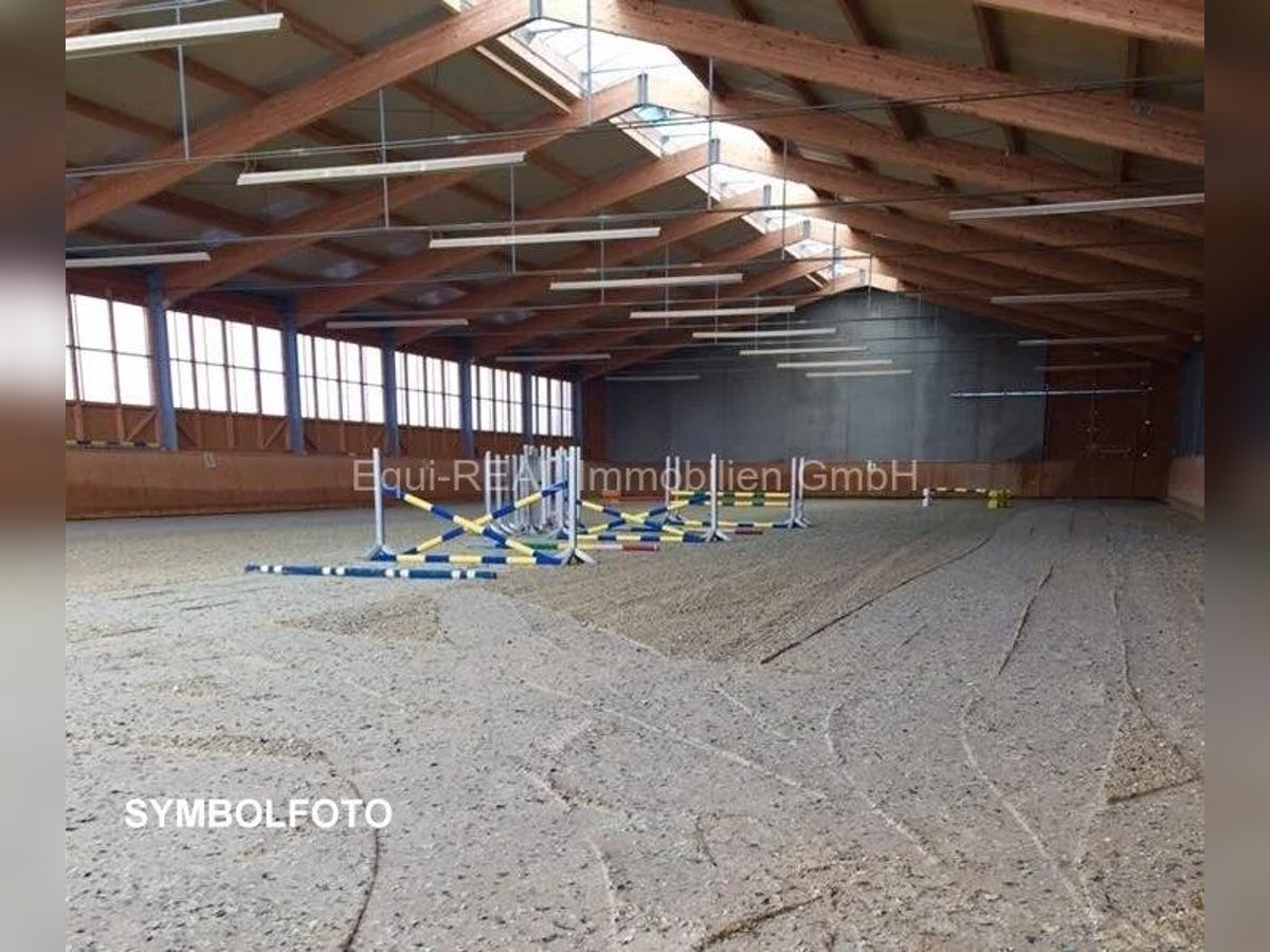 Moderne Reitanlage in Wien-Nähe Moderne Reitanlage in Wien-Nähe