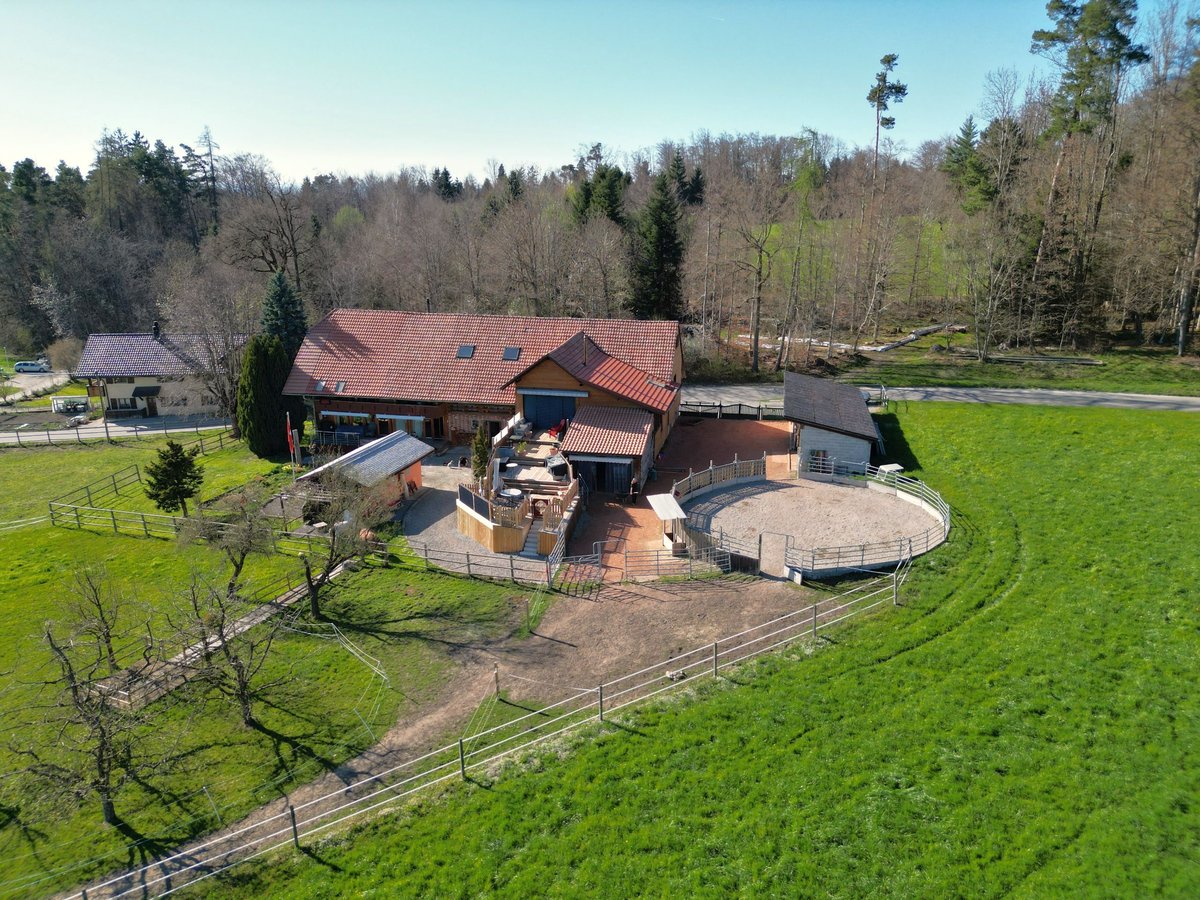 Pferderanch in Alterswil, Kanton Freiburg, Schweiz