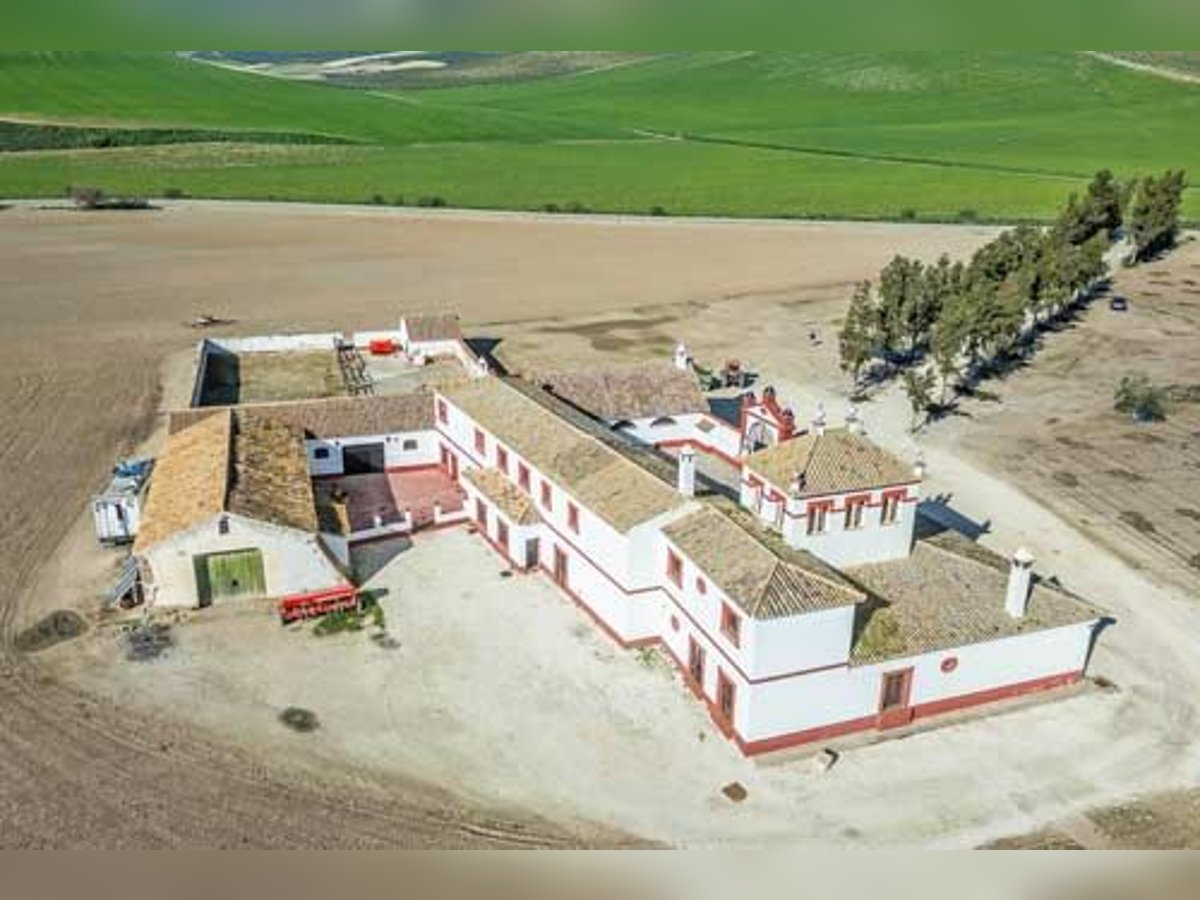 Ref2525FS Andalusien, nahe Sevilla - authentischer Cortijo zu verkaufen!