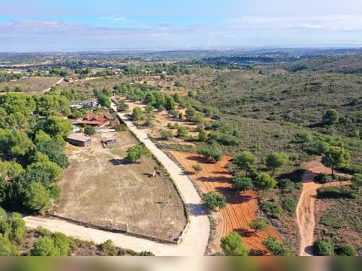 Ref2531 Spanien, Valencia, Monserrat - Finca mit Pferdestall zu verkaufen!