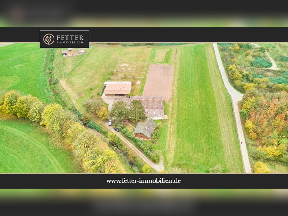 Ruhig gelegener Pferdehof in Lorsch an der Bergstraße mit romantischem Holzhaus!