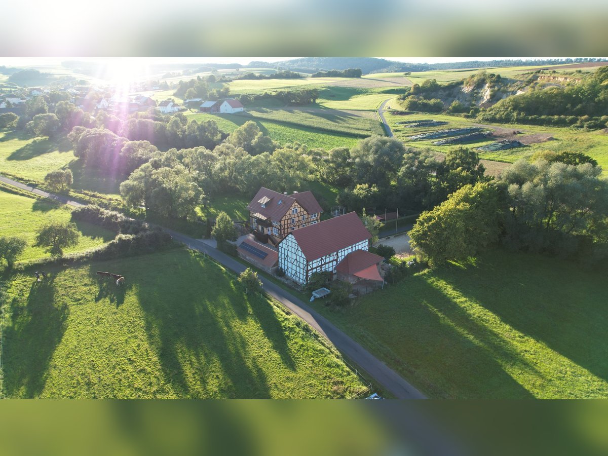 Wassermühle in Alleinlage   *Pferdehaltung *energieeffizient *provisionsfrei *alte Wasserrechte