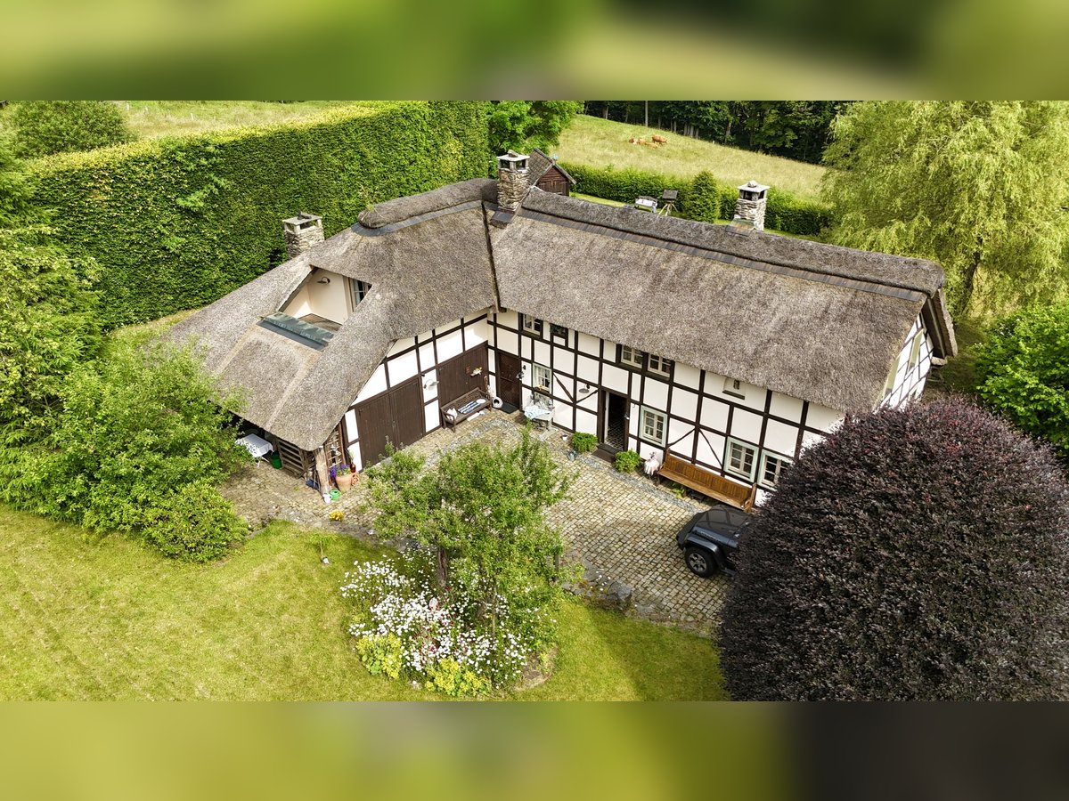 Zeitreise im Grünen: Historisches Bauernhaus mit Reetdach und kleinem Pferdestall in Monschau-Widdau