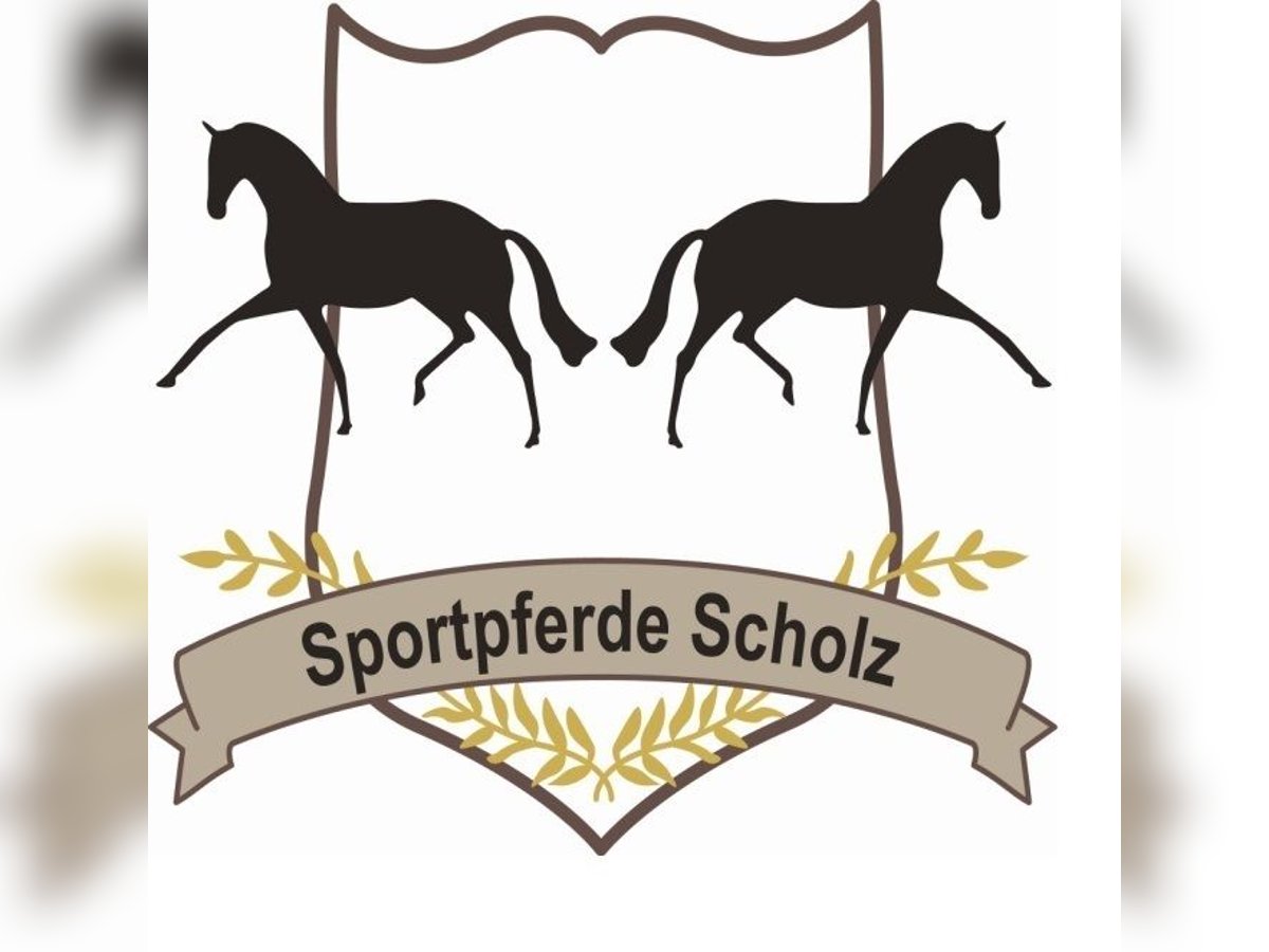 Vollzeitstelle in unserem jungen Team