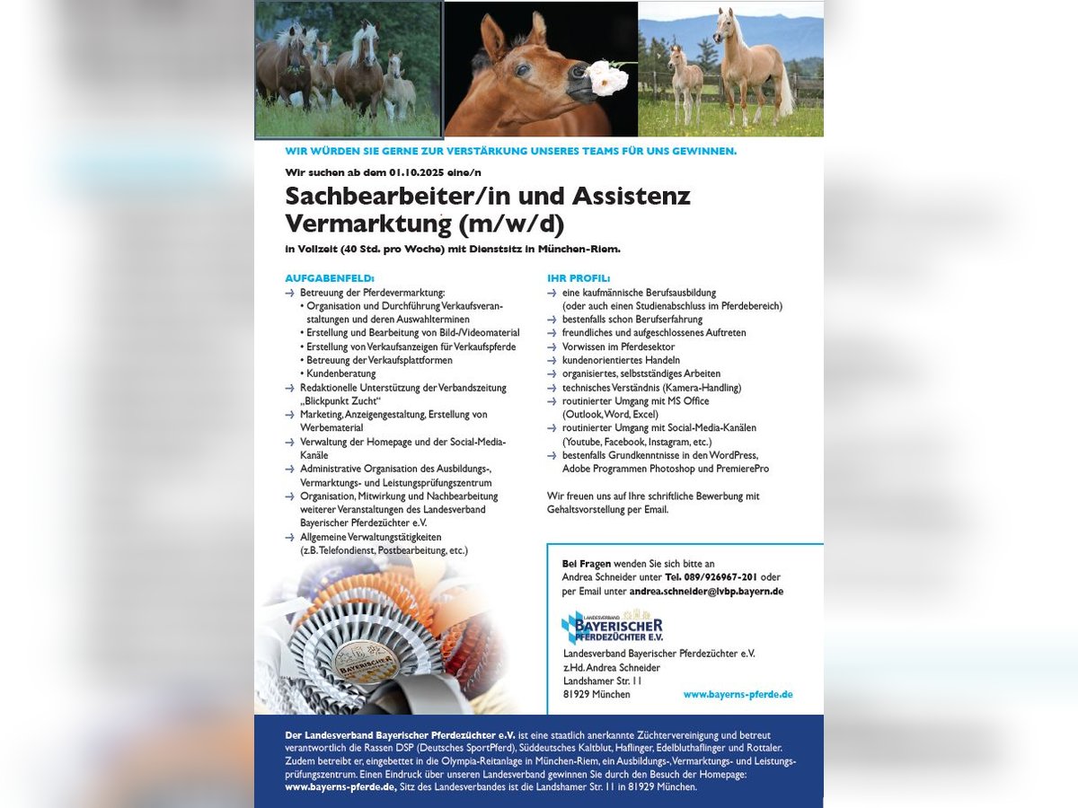 Sachbearbeiter/in und Assistenz Vermarktung