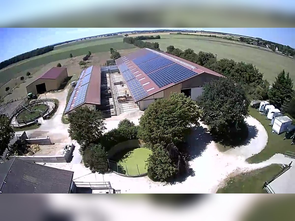 Stallhelfer, Stallkraft Stallmitarbeiter nach 50374 gesucht