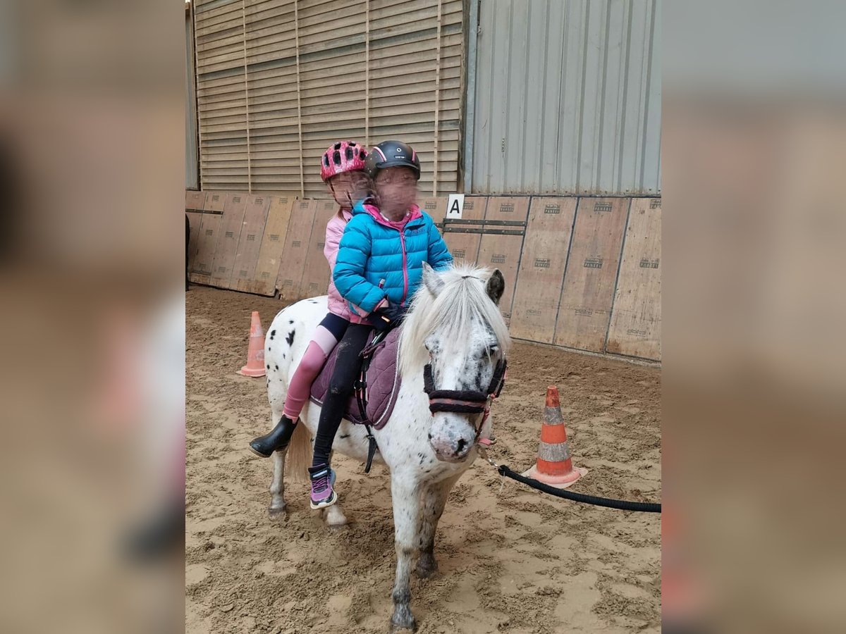 Kindergeburtstag auf dem Reiterhof