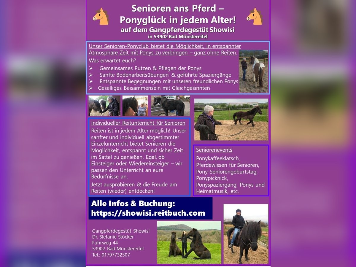 Reitunterricht, Isländer, Gangpferde, Erwachsene, Kinder, Senioren