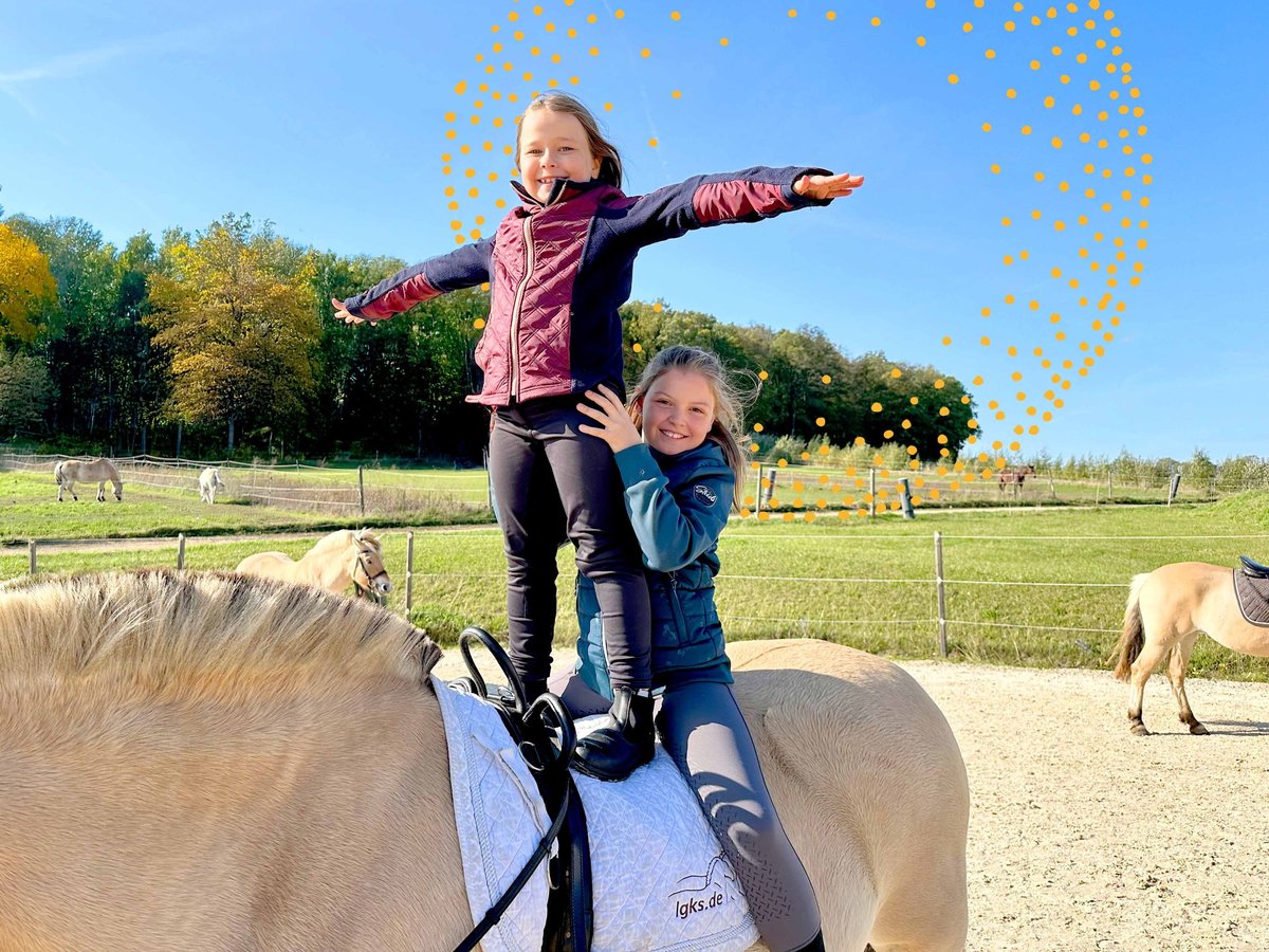 Reiten im Ponyclub