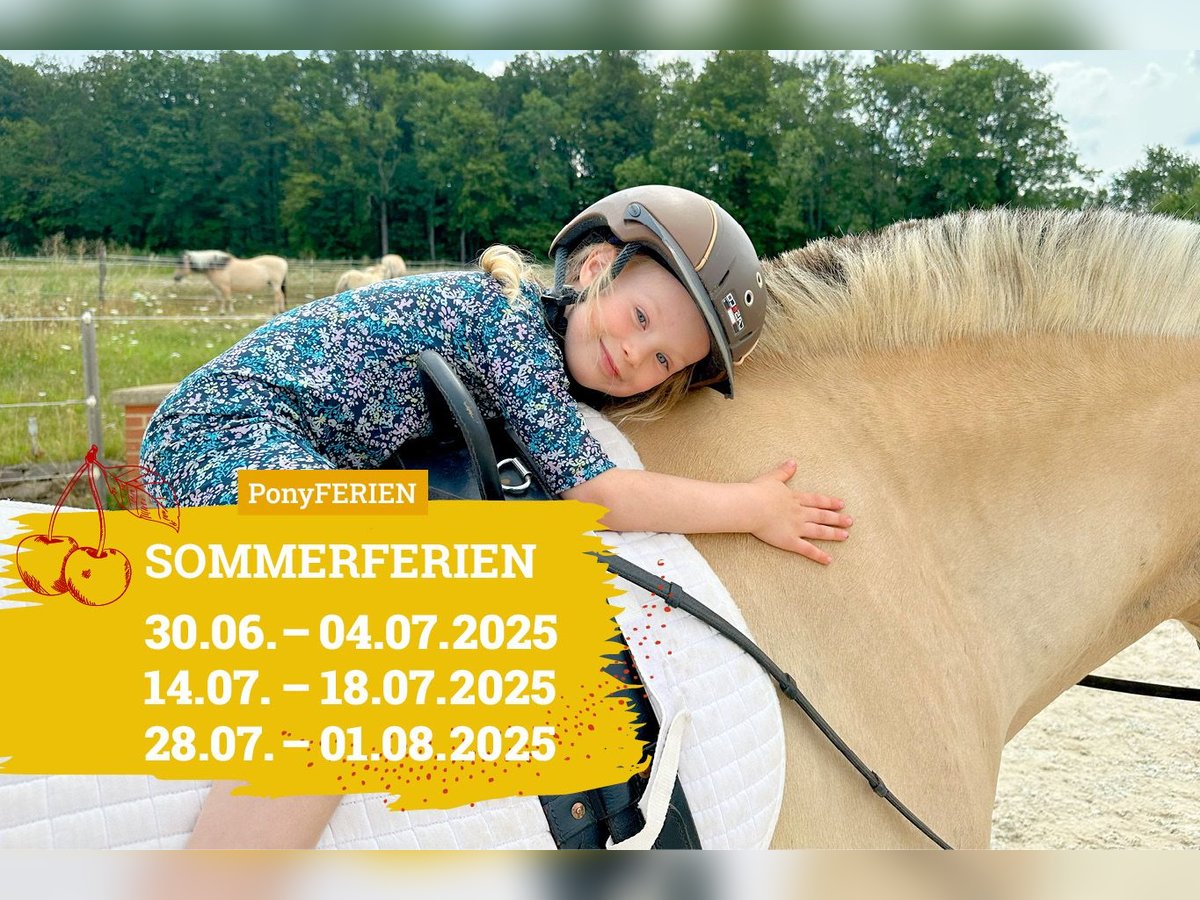 Reiterferien „Sommertraum“