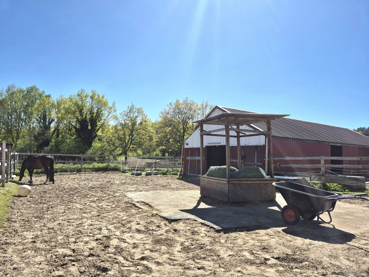 Biete Paddock / Offenstall Einstellplatz