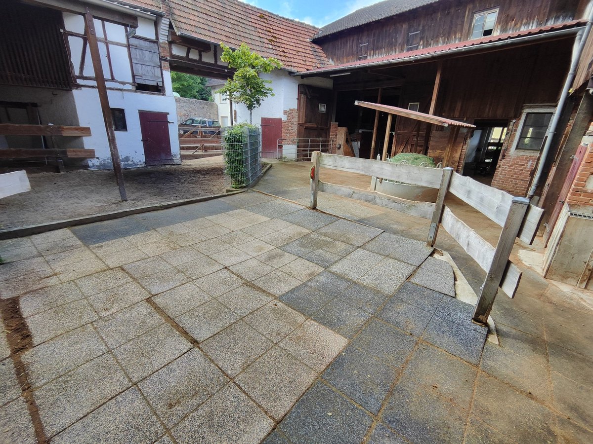Offenstall Platz für 1 Pferd frei