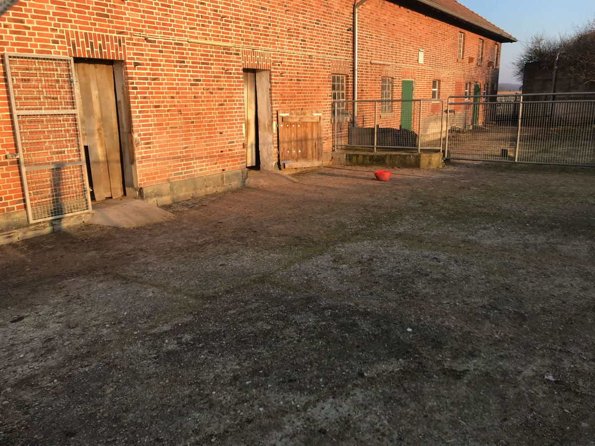 Freier Platz in Lippetal-Herzfeld – familiäre Haltergemeinschaft sucht Verstärkung